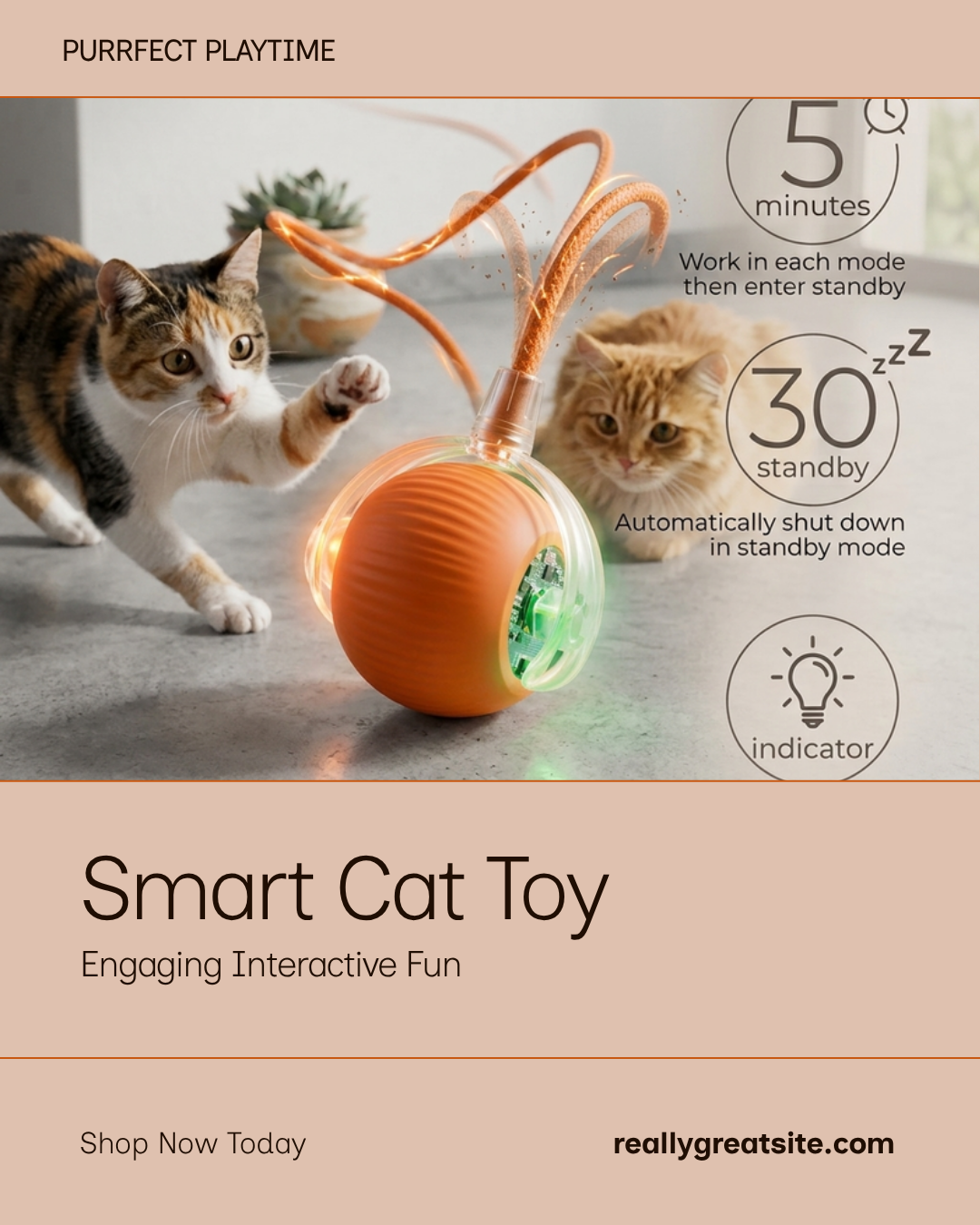 Grey interactive smart cat ball on warm cream studio background