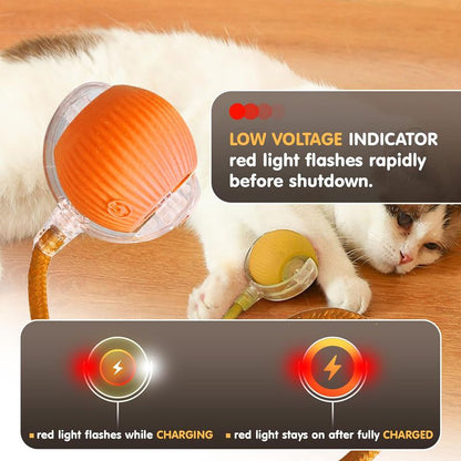 Automatic Interactive Cat Ball - grey rechargeable electric rolling toy for cats, view 4
